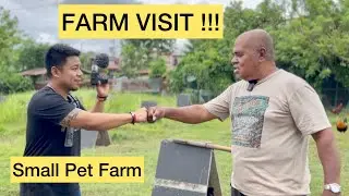 FARM VISIT SA CABUYAO LAGUNA, PAPA JUNE DIMAYUGA ! Tips for simple pet keeping!