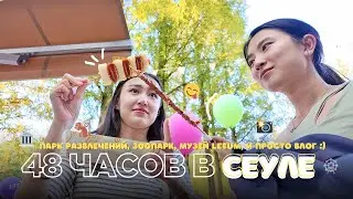 48 часов в СЕУЛЕ: парк развлечений🎡, музей Leeum, мини зоопарк 🐇 Влог из Кореи!