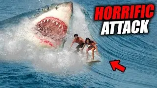 SAVAGE Shark Attack - HEARTBREAKING Story
