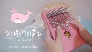 วาฬเกยตื้น - GUNGUN | Kalimba Cover by cinnaopal