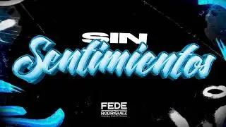 SIN SENTIMIENTOS - FEDE RODRIGUEZ