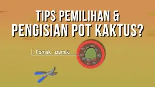 Kaktus Part 5 - Tips Pemilihan dan Pengisian Pot Kaktus (#kaktus & #sekulen #sukulen)