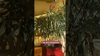 Что такое каббала?