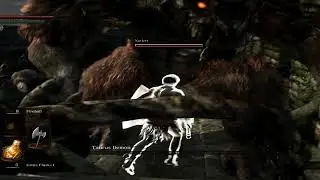 dark souls 1 dehao zhang boss fight