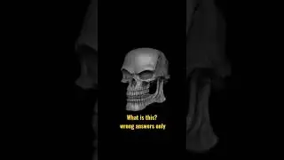 wrong answers only