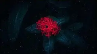 Beautiful Piano Music - Relaxing Music, Study Music, Stress Relief, Sleep Music (SMG) #4