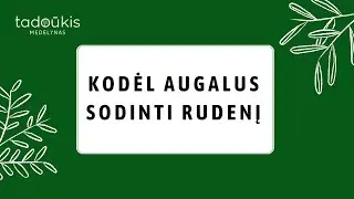 3 faktai, kodėl augalus sodinti rudenį?