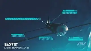 Blackwing Loitering Reconnaissance System