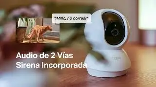 Conoce la Cámara Wi-Fi Tapo C210.