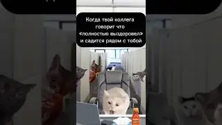 Кашель.