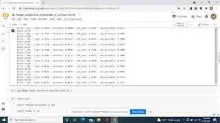 Accurately Classify Images of an anaconda and python then use two methods to predict test pictures.