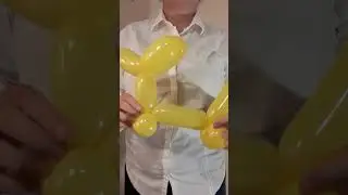 Balloon Animals for Beginner Dog Dachshund #balloonanimals #balloonart #собачкаизшарика
