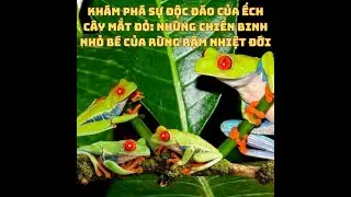Khám Phá Sự Độc Đáo Của Ếch Cây Mắt Đỏ: Những Chiến Binh Nhỏ Bé Của Rừng Rậm Nhiệt Đới