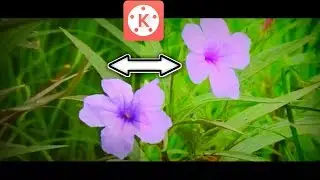 how to editing for cinematic look,king master cinematic look editing,king master video editing,royal