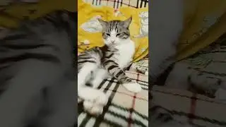 сколько вам лет если прибавить 100🤣🤣🤣🤣🤣😂😂😂