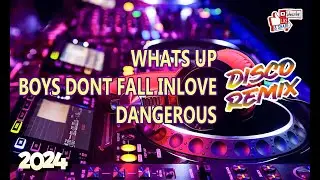 WHATS UP x BOYS DONT FALL IN LOVE x DANGEROUS🎵DISCO REMIX 2024
