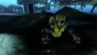 Halo 5: Fathom Easter Egg?