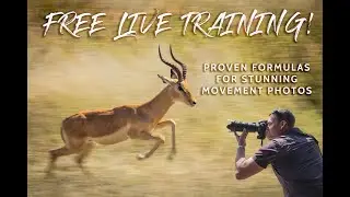 FREE Live Photography Training Event – 3 Formulas for Stunning Movement Photos!