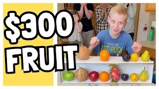 Ultimate Fruit Matching Challenge!