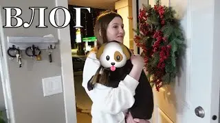 СБЫЛАСЬ МЕЧТА, НАША СОБАКА//А сколько радости!