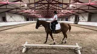 Livia Schuller and Sunny Smiles USAWE Novice A