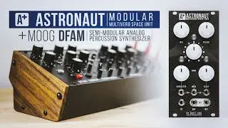 A+ Astronaut Modular + Moog DFAM | Sound Examples
