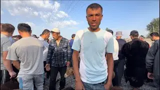 ШАХРИНАВ ЧЕПТУРА НАРХИ ГОВ ВА ГУСФАНД БУЗ ТАКА  22 августа 2024 г.