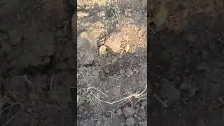 Металл лежит на земле 