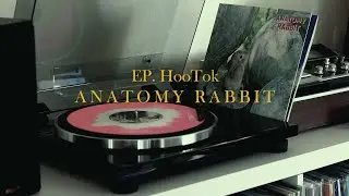ANATOMY RABBIT 