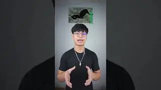 3 Lokasi Keberadaannya Disembunyikan