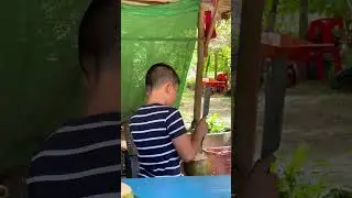 А ты когда нибудь раскалывал кокос? #еда #food #foodie #amzchef #recipes #shorts #shorts video