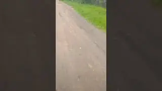 Это я каталась на велеке...