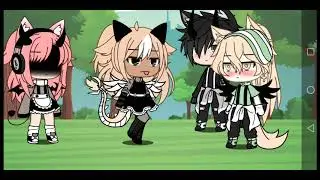 Untitled video