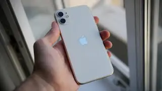 The iPhone 11 in real life