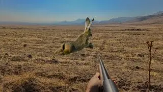 EN GÜZEL TAVŞAN AVLARIM | HARİKA VURUŞLAR | MY BEST HARE HUNTS | Лучшая охота на кроликов