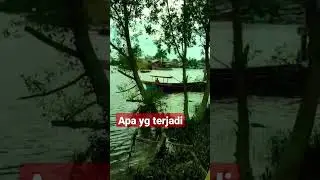 perhatikan !! pertamanya mundur terus tiba-tiba maju