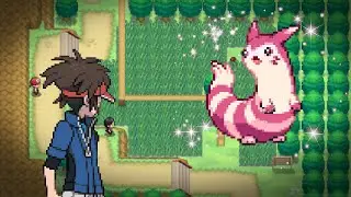 Live Shiny Furret after 14,927 RE’s on Pokemon Black 2! (Swarm)