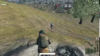 BEES!! (PUBG)