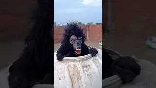 Karishma Prince Ke Piche Pada Gorilla #short #shortfeed #funny