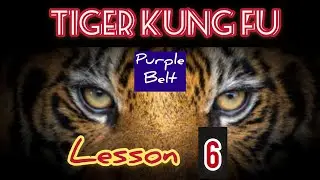 learning kung fu at small space / tiger claw , creative kung fu / 虎拳