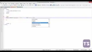 Die and Exit  - Lecture 35 (PHP Tutorial)