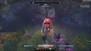 ESO | Blackwood | What is this insane burst damage? | Stamina Necromancer PVP Build | The Reaper