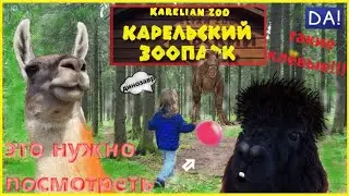 Весёлые животные. Карельский зоопарк. ЗооГринПарк Kareliazoo. Отдых в Карелии. Рускеала Чёрные камни