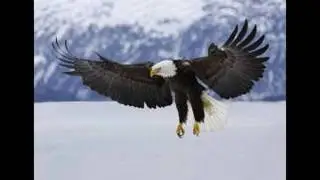 My Slideshow