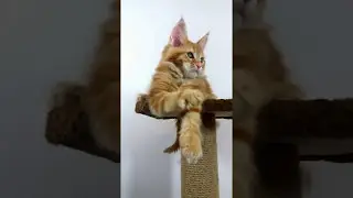 20170507 144208