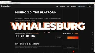 Whalesburg: Готовая платформа для криптомайнеров