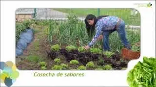 Asturias, cosecha de sabores
