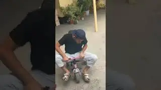 Авторитет Дагестана 😄