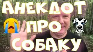 Анекдот про. Про собаку. Смешной анекдот. #анекдот #юмор #анекдоттв #секс