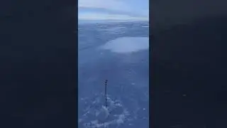 Чудское, ловля плотвы с привадой в феврале. Часть первая.